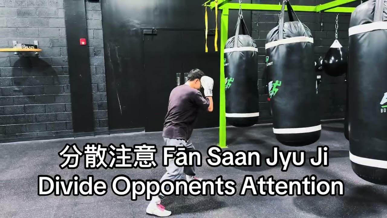 Jow Ga Kung Fu “Divide Attention”