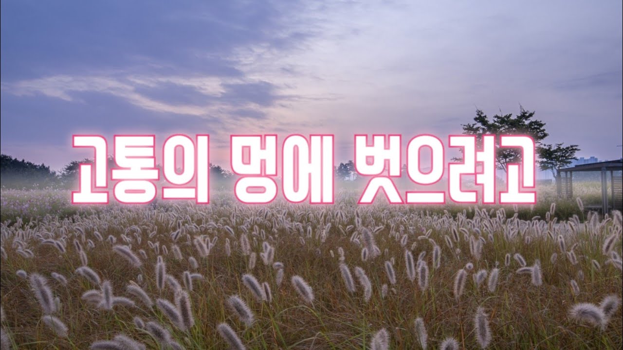 💕찬송가 고통의 멍에 벗으려고 