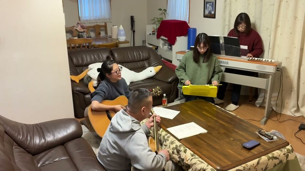 いきものがかり「会いにいくよ」演奏してみた。