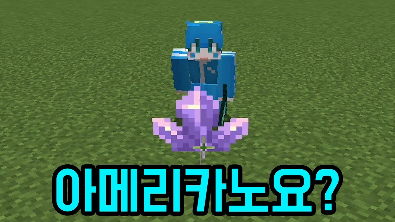 이름 좀 맞춰봐(마인크래프트)