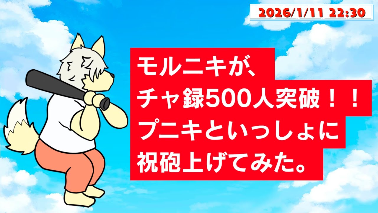 【耐久】モルニキが、チャ録500人突破！プニキといっしょに祝砲上げてみた。2026/01/11【乙凱モルフィ】