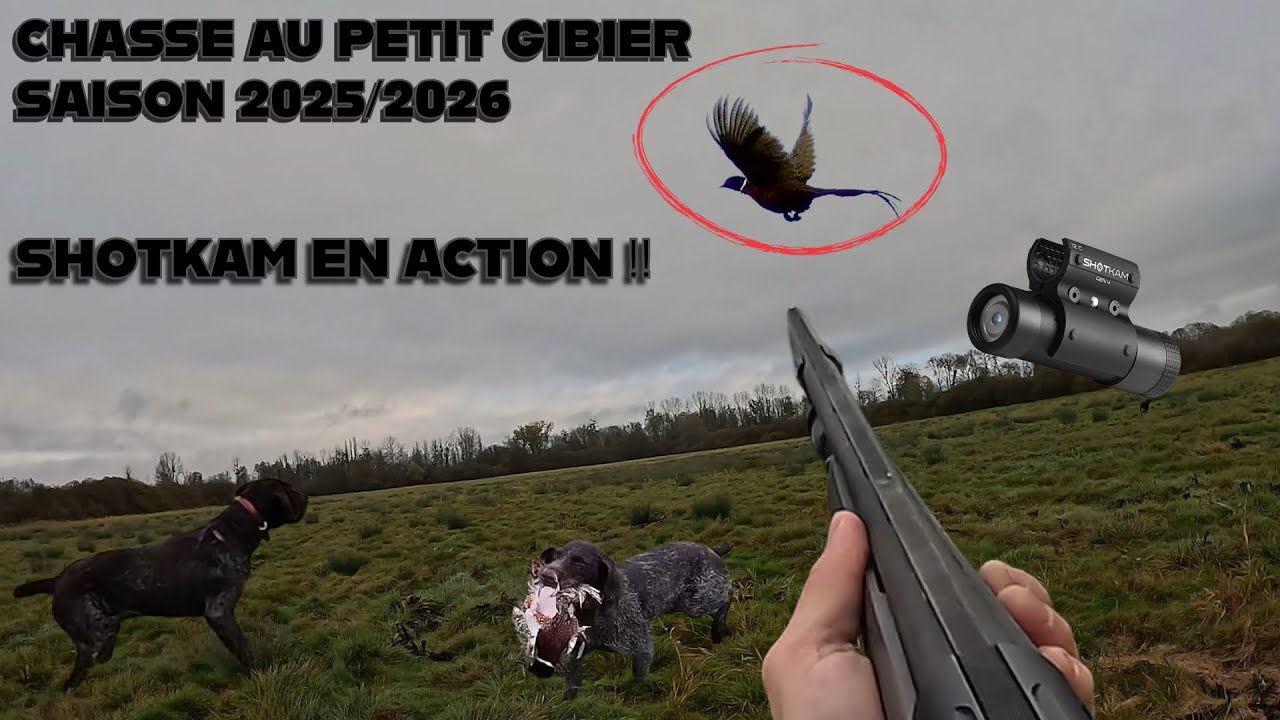 🎥CHASSE AU PETIT GIBIER SAISON 2025/2026