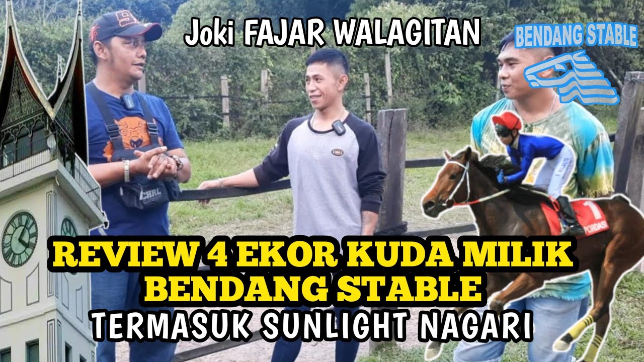 Review 4 Ekor Kuda Milik Bendang Stable, Termasuk Kuda Juara Pertiwi Cup SUNLIGHT NAGARI