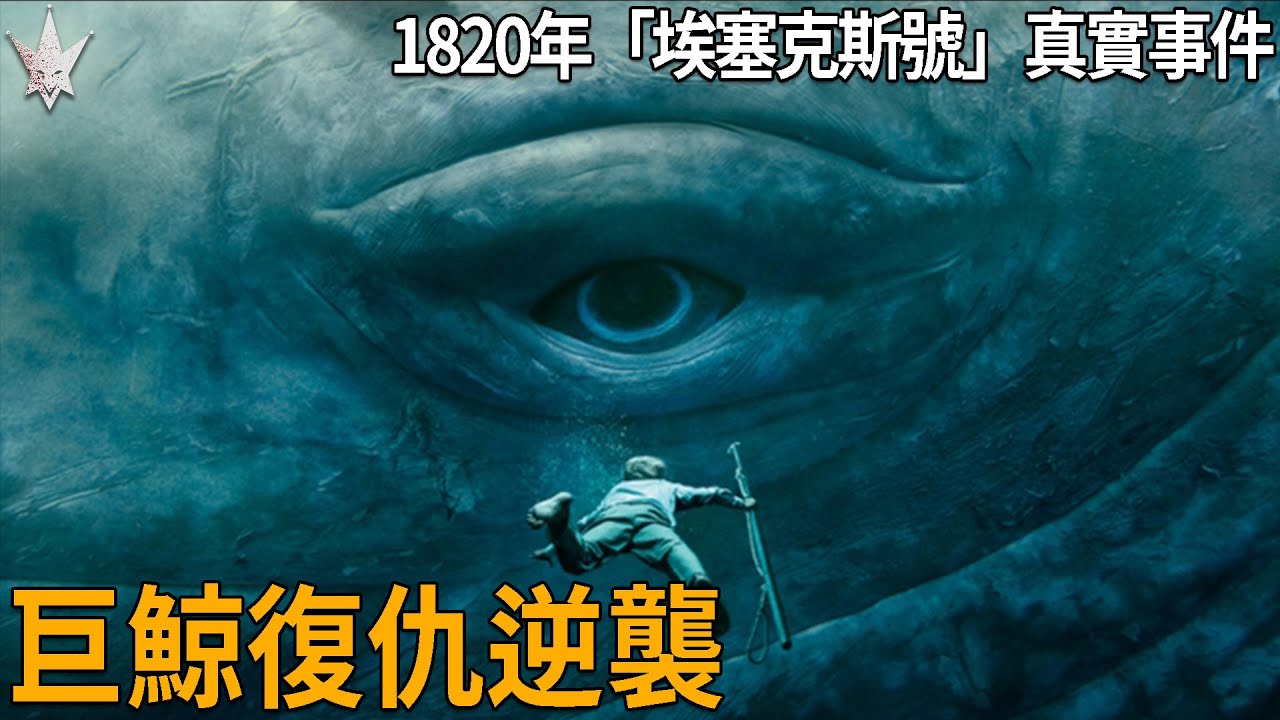 深海巨鯨復仇逆襲，1820年「埃塞克斯號」捕鯨船遭攻擊真實事件，最終竟引起人類的自相殘害，電影「白鯨傳奇：怒海之心」的史實改編取材來源。