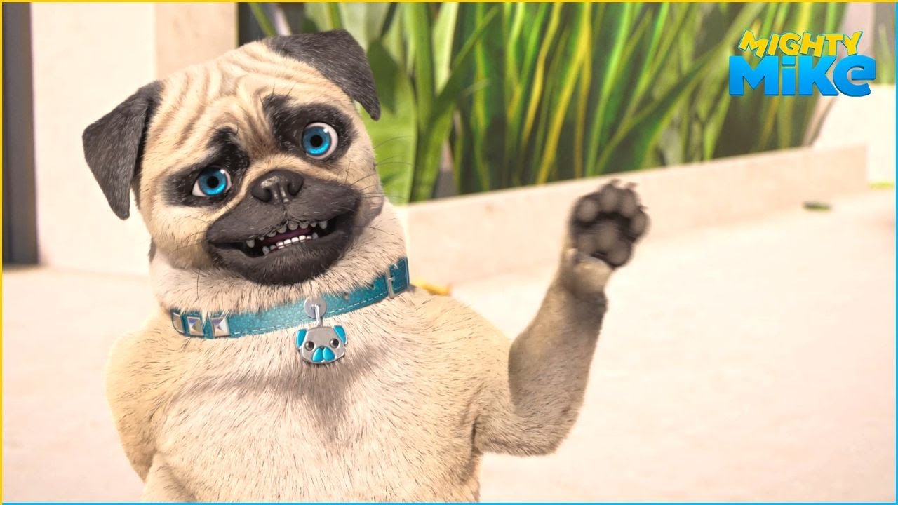 Photobombed! | Mighty Mike | 55' Compilation | Cartoon for Kids