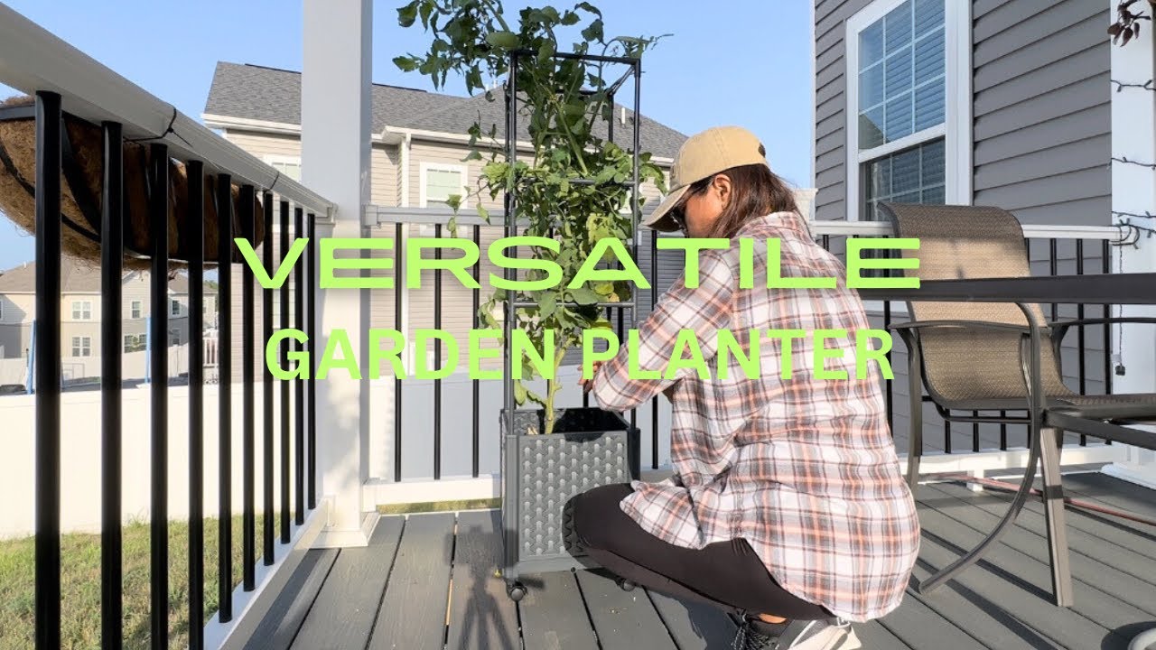 Versatile Raised Garden Planter, Climbing Vegetable Support