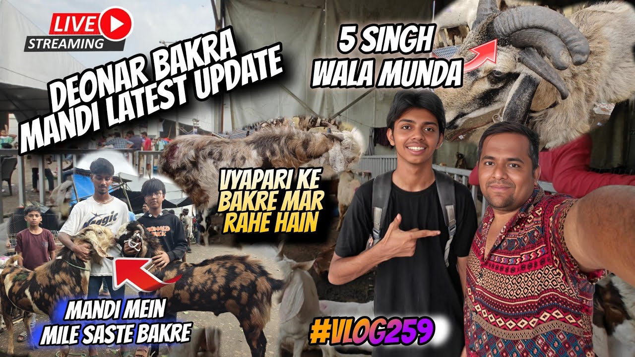 Deonar Bakra Mandi latest updated || Deonar Mandi Hui Sasti ||| Explore Deonar Full Detail Vlog