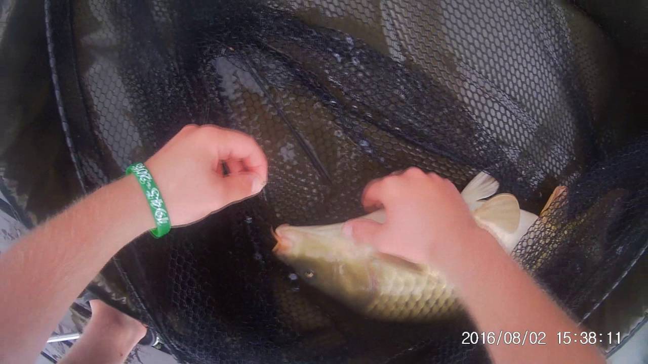 Łowisko Świniobudy odc.2