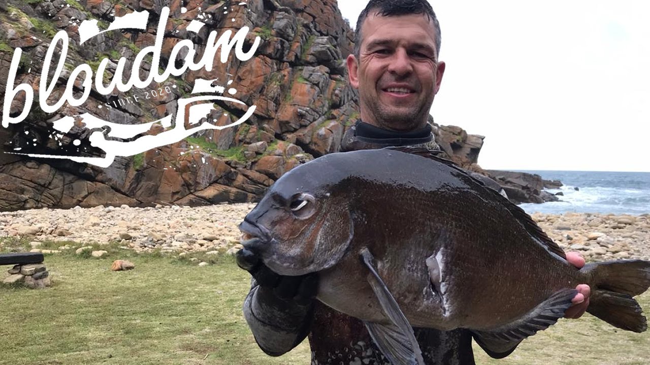 MONSTER BRONZE BREAM - SPEARFISHING SOUTH AFRICA 2020