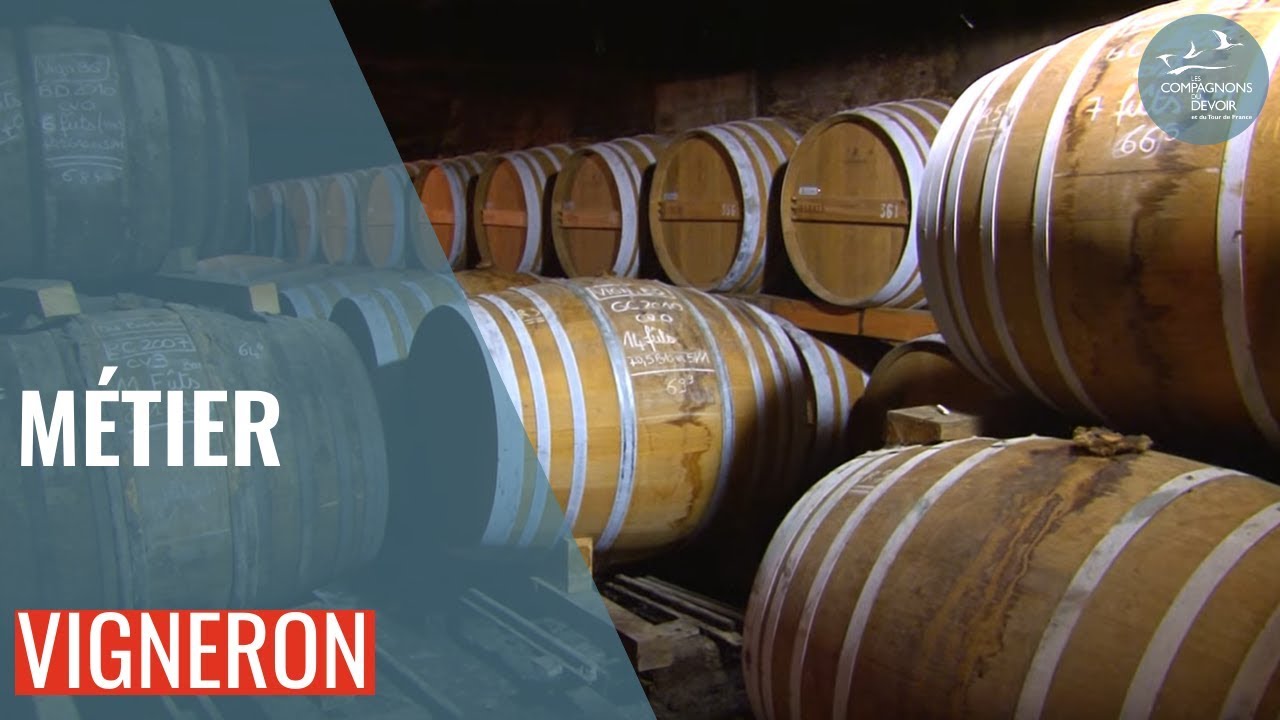 Le métier de vigneron chez les Compagnons du Devoir