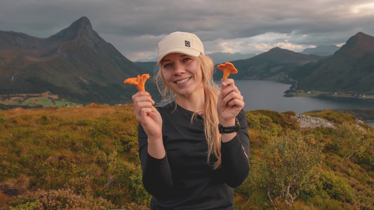 Foraging Mushrooms & Stunning Fjord Views | Norway Hiking Vlog