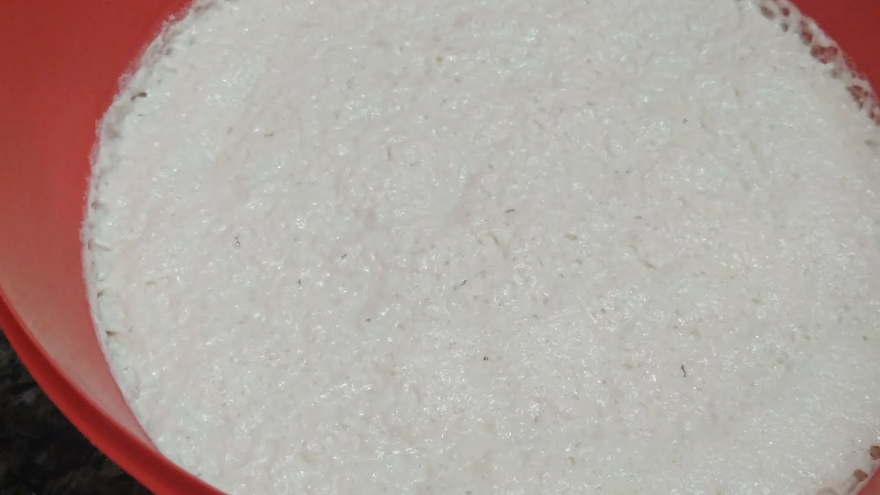 Fermento já Crescido como Guarda.👍👏