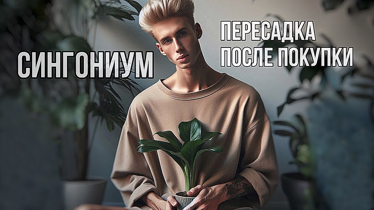 СИНГОНИУМ - разговорная пересадка / уход и содержание / 🐛ЧЕРВИ В ГОРШКЕ!🤢🍃