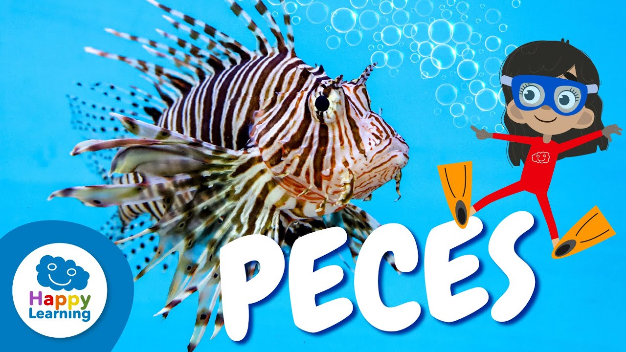 COSAS QUE NO SABÍAS SOBRE LOS PECES  | Happy Learning 🐟🐠🎣
