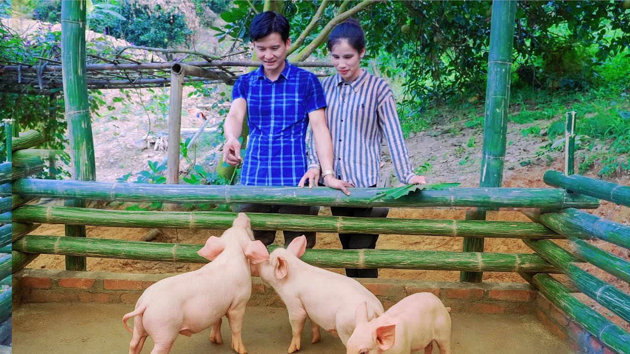 Thu and Tu Phan happily expanded their farm together to improve their lives. 