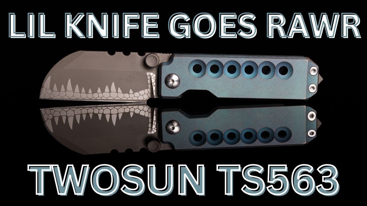 Одержим этим! - Twosun TS563 (модифицированный)