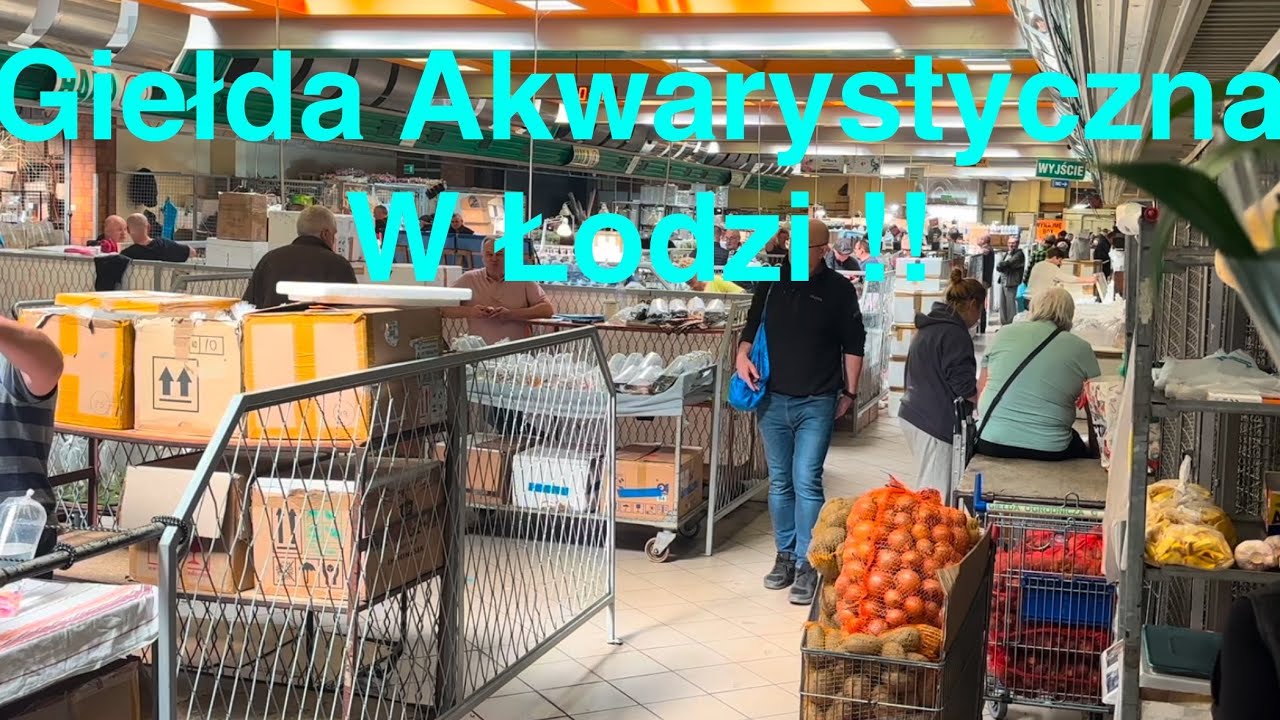 Giełda Zoologiczna w Łodzi – Rybki, Hodowcy i Ciekawe Okazy | Moja Relacja