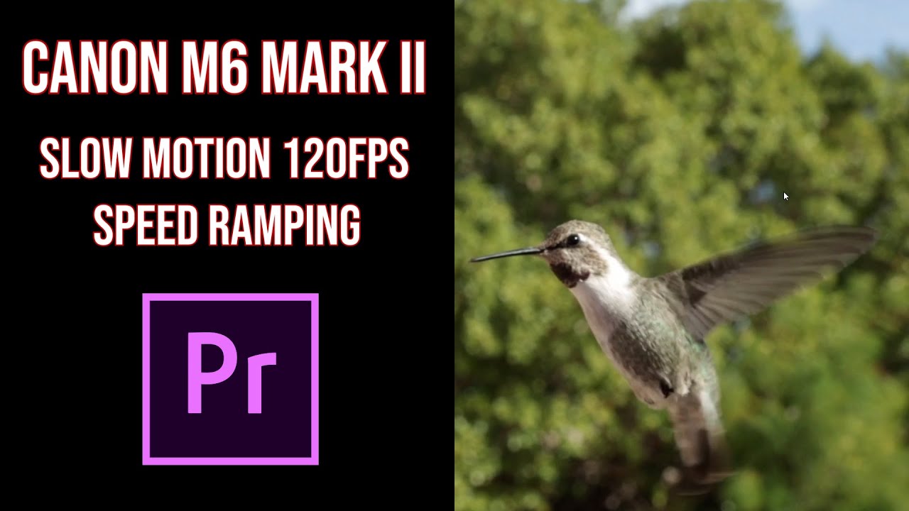 Canon M6 Mark II: Slow Motion 120fps Speed Ramping