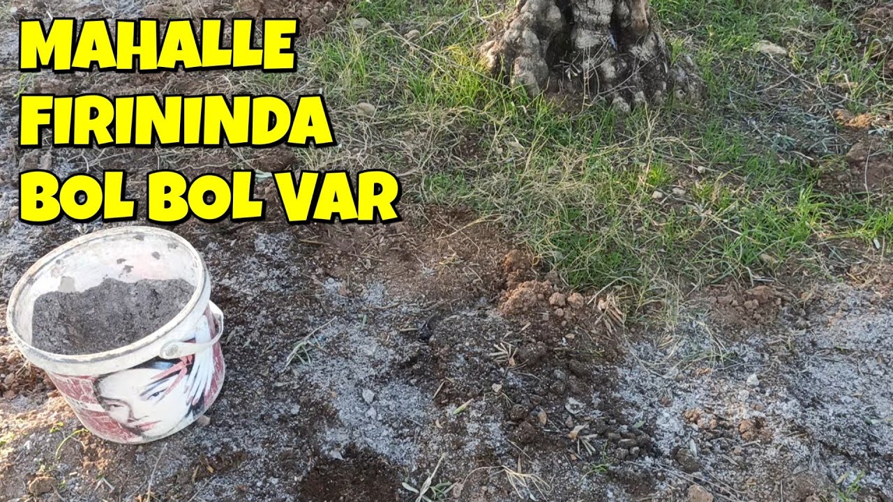 En Eski, En Doğal, En Ucuz Gübre 