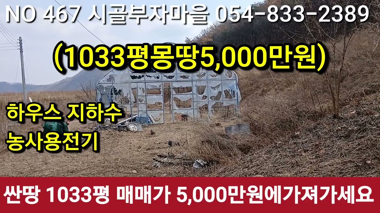 #의성군 단촌면 싼땅1033평 5,000만원에가져가세요. #의성싼땅  #영천싼땅 #구미싼땅 #경북싼땅 #안동싼땅 #군위군싼땅 #의성토지