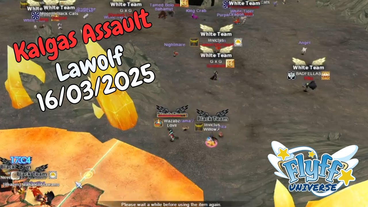 Flyff Universe - Kalgas Assault 16/03/2025