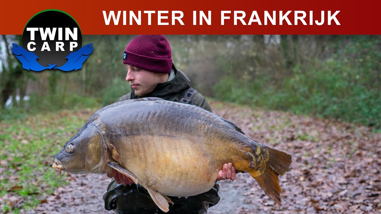 Karpervissen in Frankrijk - XXL karpers in de WINTER!