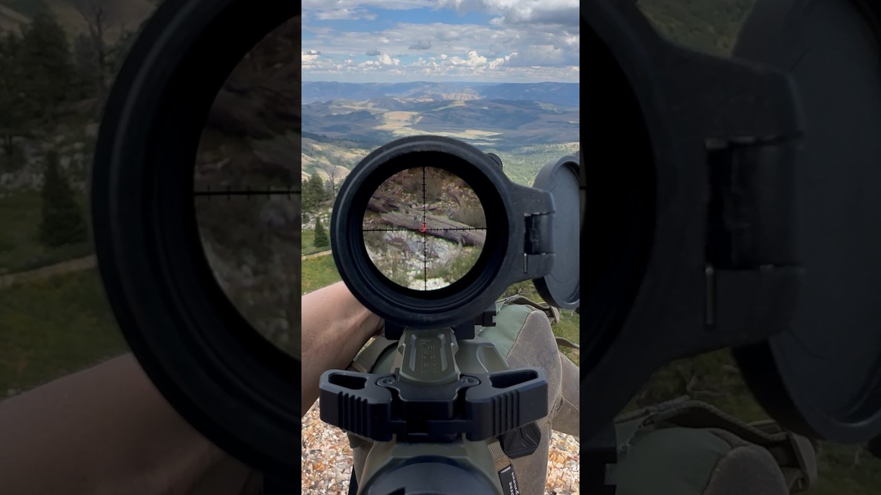 POV through a Leupold MK5 3.6-18 mounted on a Radian 14.5&rdquo; pinned AR