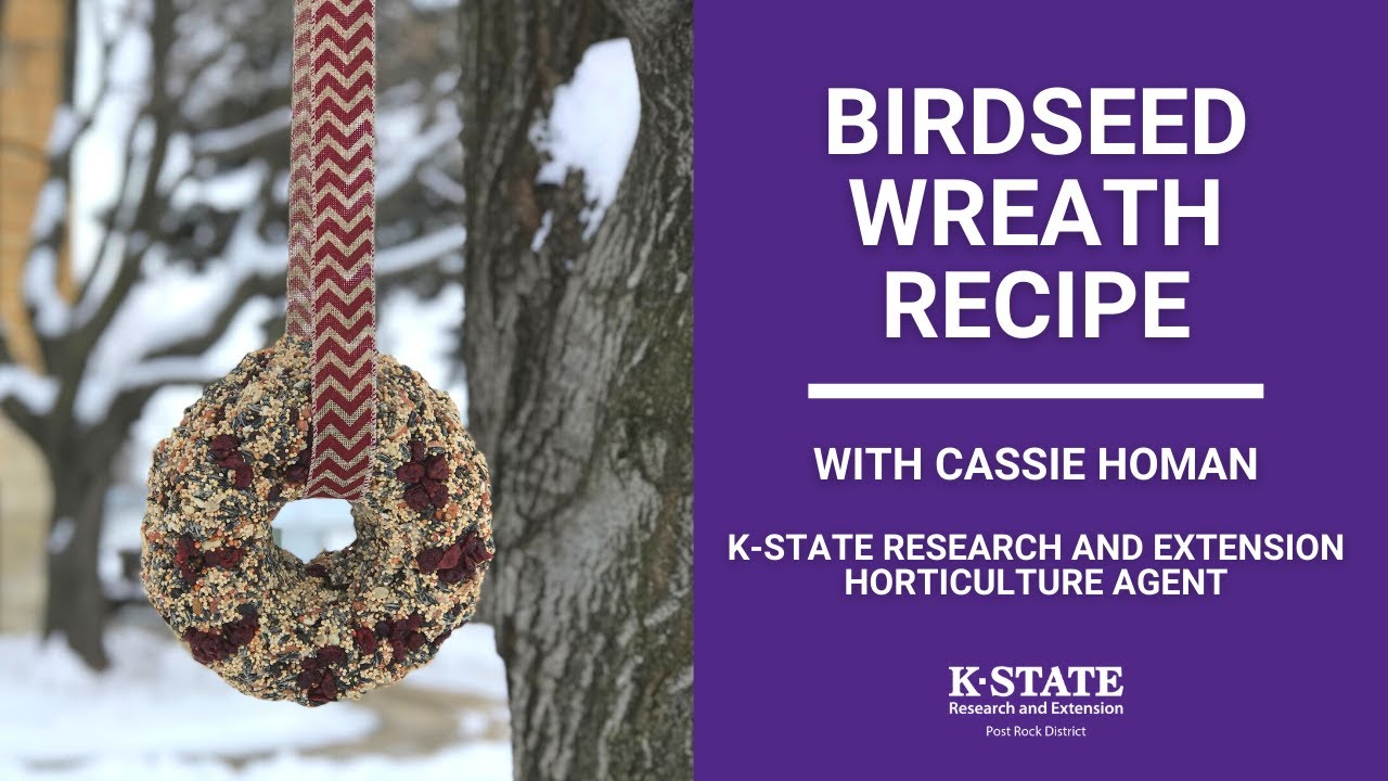 Homemade Birdseed Wreath Fun Recipe with Cassie Homan