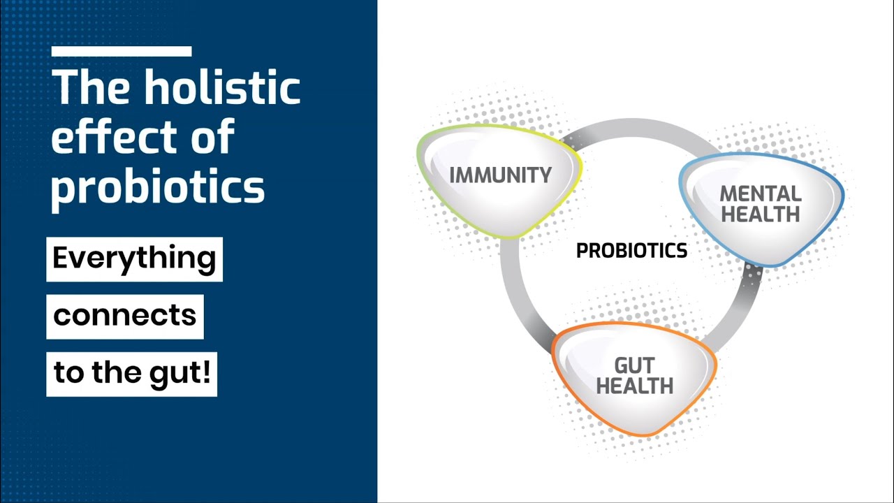 Your New Self  - What's New