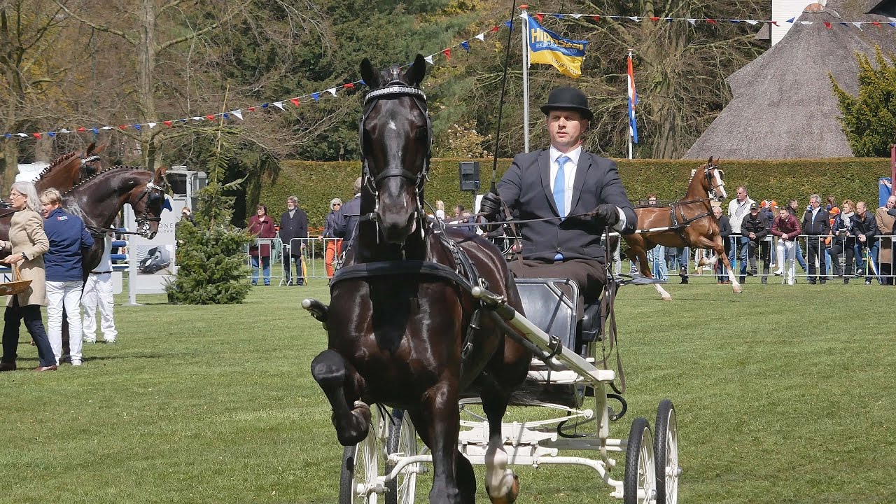 Koningsdag De Bilt Oranjeconcours 2017