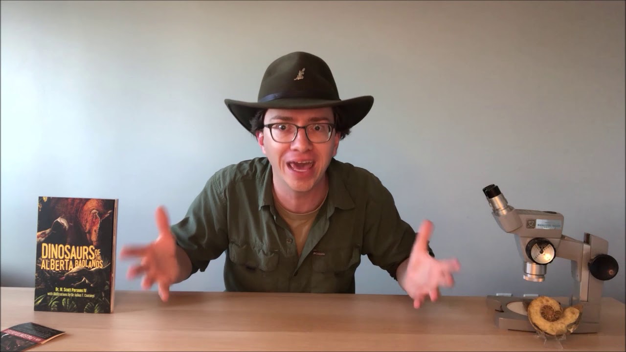 Does oil come from dinosaurs?