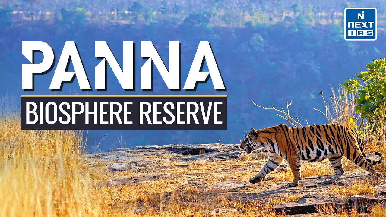Biosphere Reserves in India (Through Animation) - Panna #panna #madhyapradesh #environment