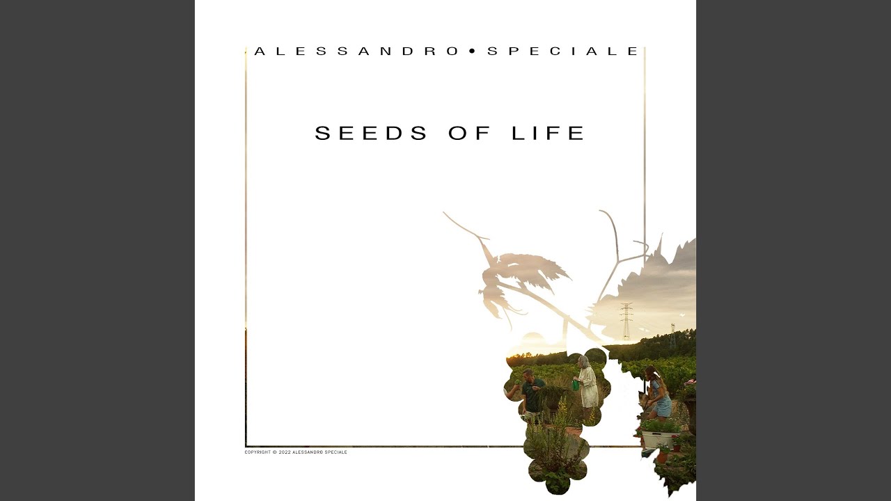 Seeds of Life, Pt.2