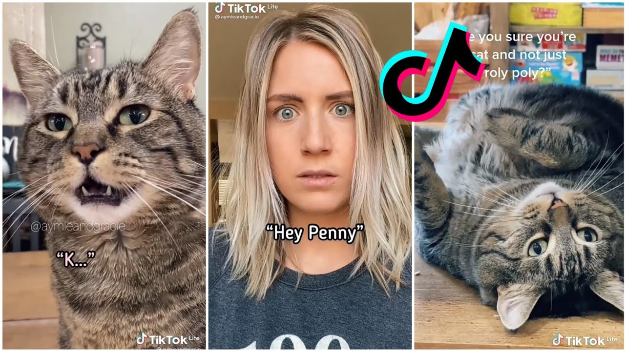 Penny the talking cat/Singing cat |Best Tiktok compilation
