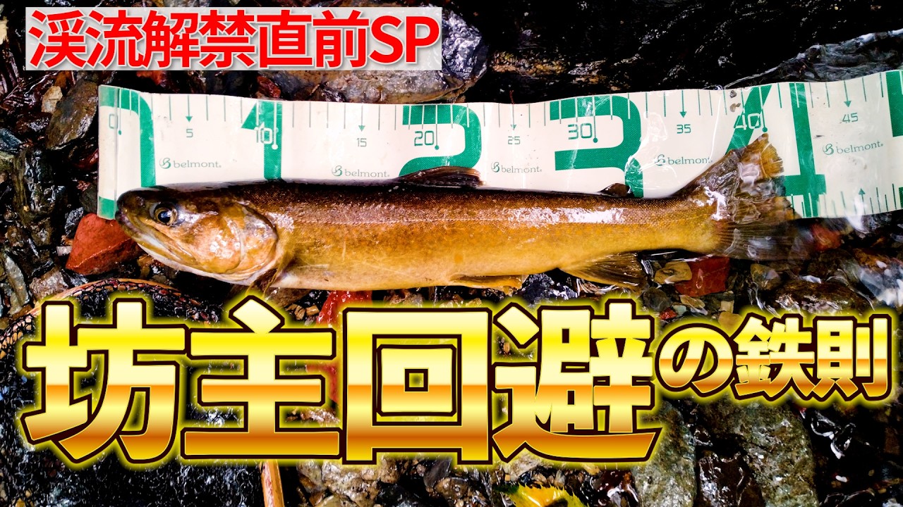【もうすぐ渓流解禁】7万円の竿が水没。絶望から大イワナを掴んだ「坊主回避の鉄則」完全版