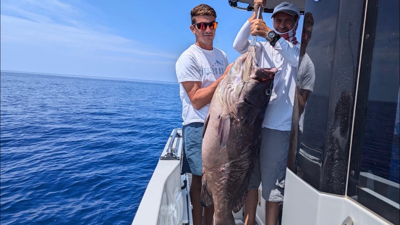 Dogtooth Groupers (maltese: Dott Abjad) 10kg and 35kg, Malta Deep Sea Fishing, Slow Pitch Jigging