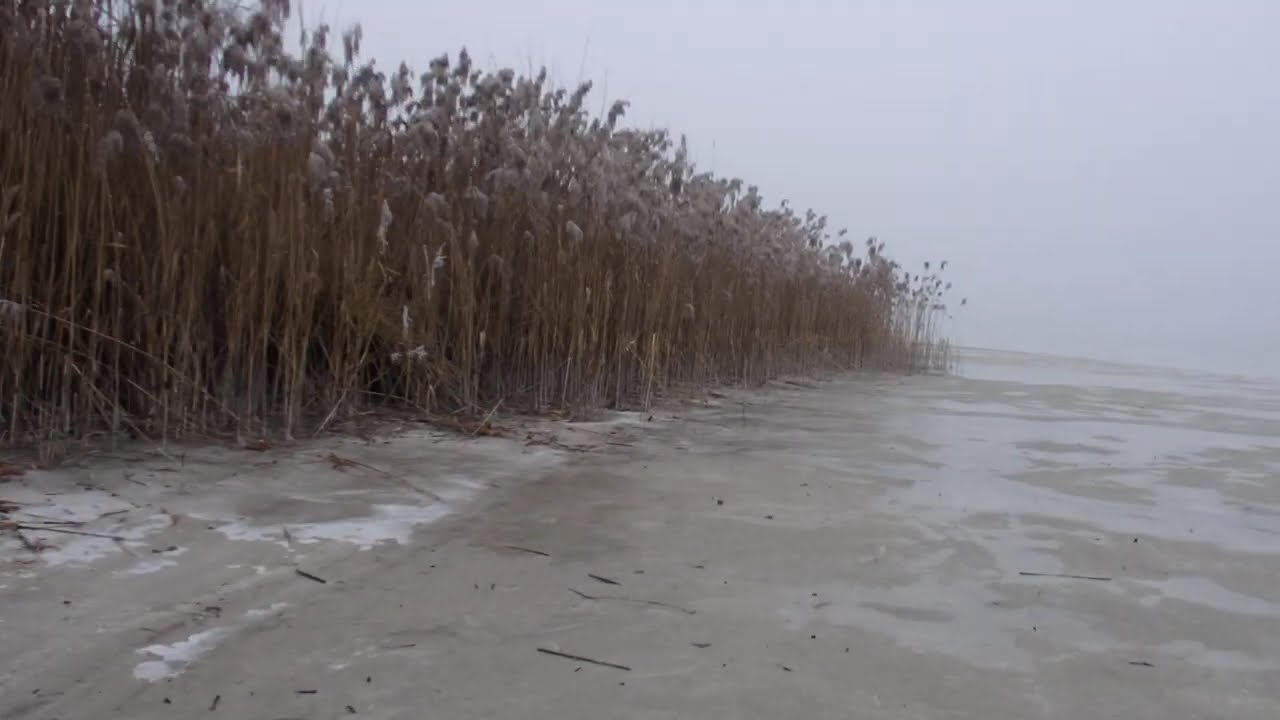 Into the grey wide open...a day on the beach on Mettnau😃