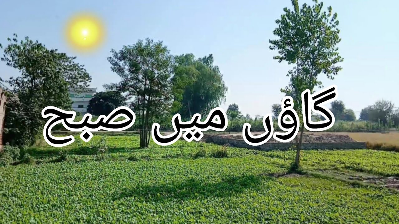 Village Morning Routine|Village Roze 😊