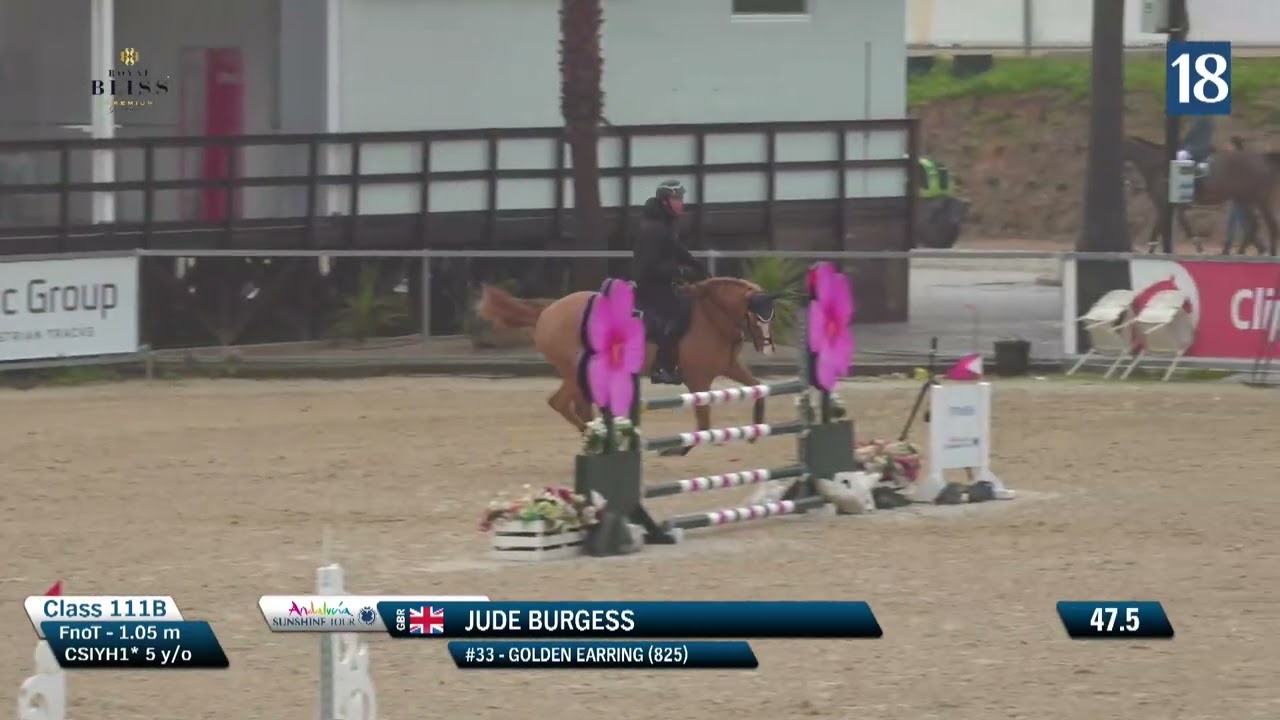 Golden Earring (Cello V/D Bisschop x Clearway) 2021 gelding | 5yo @ Sunshine Tour