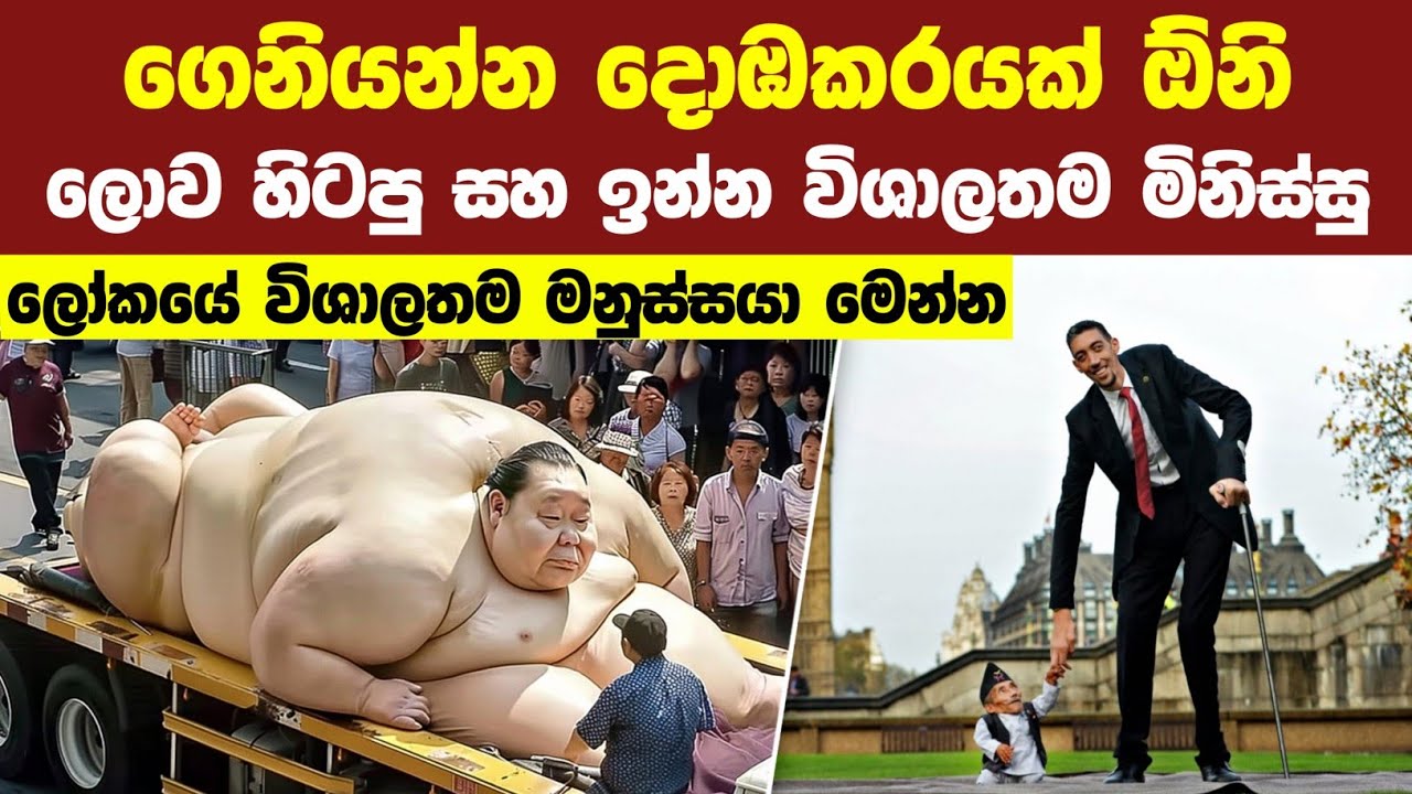 එදා මෙදා තුර ලෝකයේ විශාලතම මිනිස්සු 05 දෙනා මෙන්න | 05 Largest Humans To Ever Live