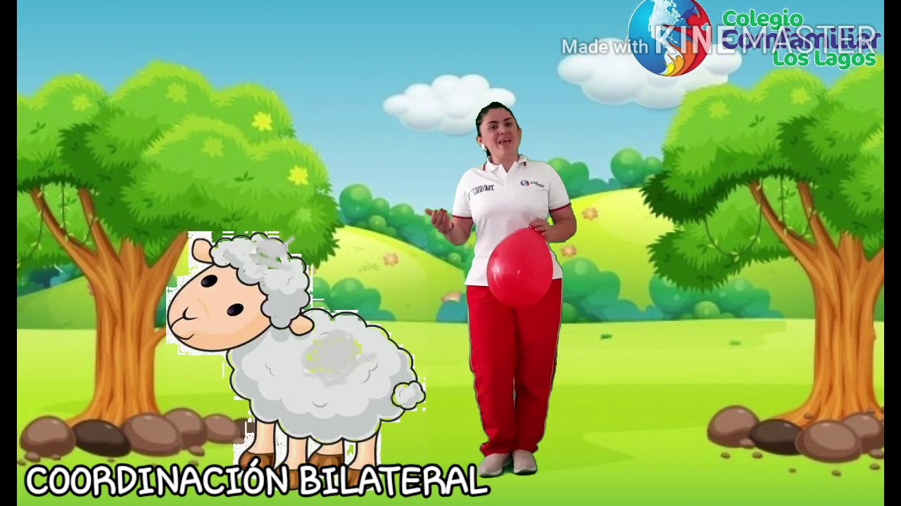 Coordinaci&oacute;n bilateral