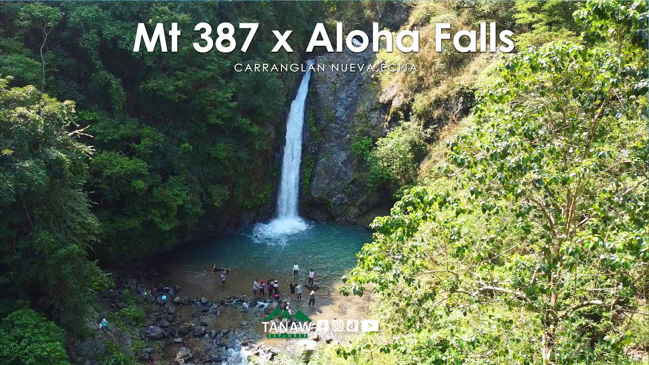 Mt 387 x Aloha Falls | November 16, 2024