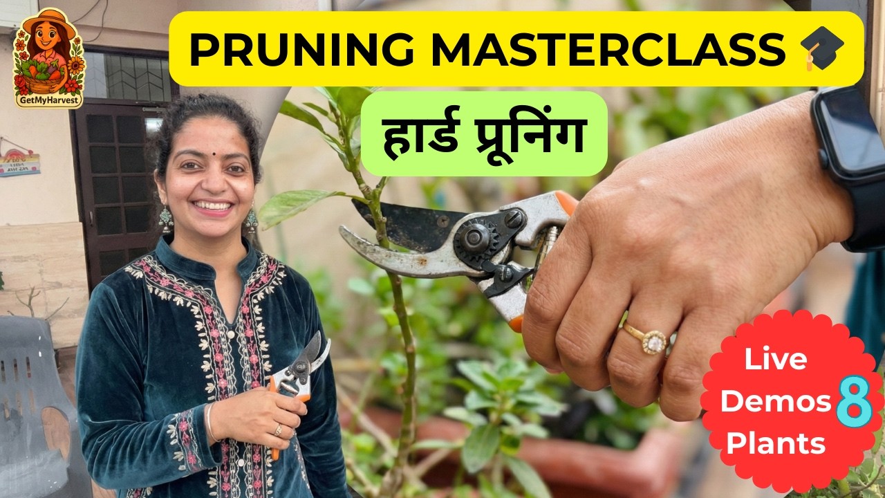 STOP! Pruning se Pehle Ye Dekhlo ✂️ 8 Live Demos & Results