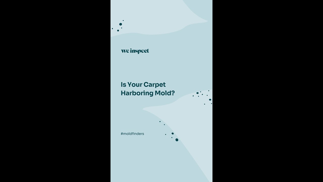 Is your carpet harboring mold?