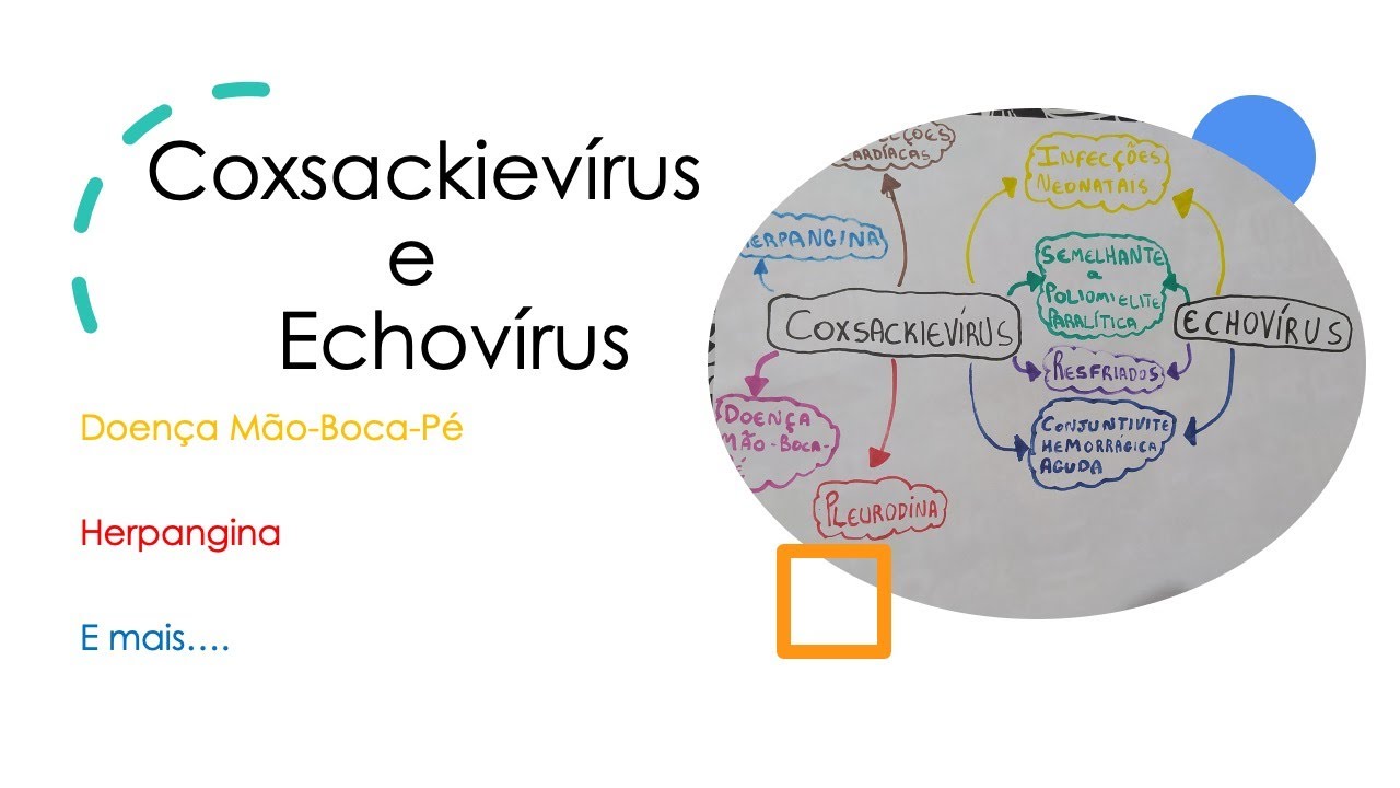 Coxsackiev&iacute;rus e Echov&iacute;rus | Curso de virologia | Medicina passo a passo