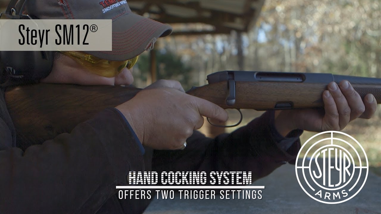 Steyr Arms SM 12