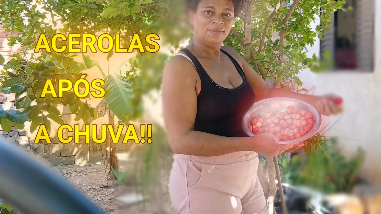 CHUVEU E A VIDA FLORESCEU❤️❤️🌎🌹