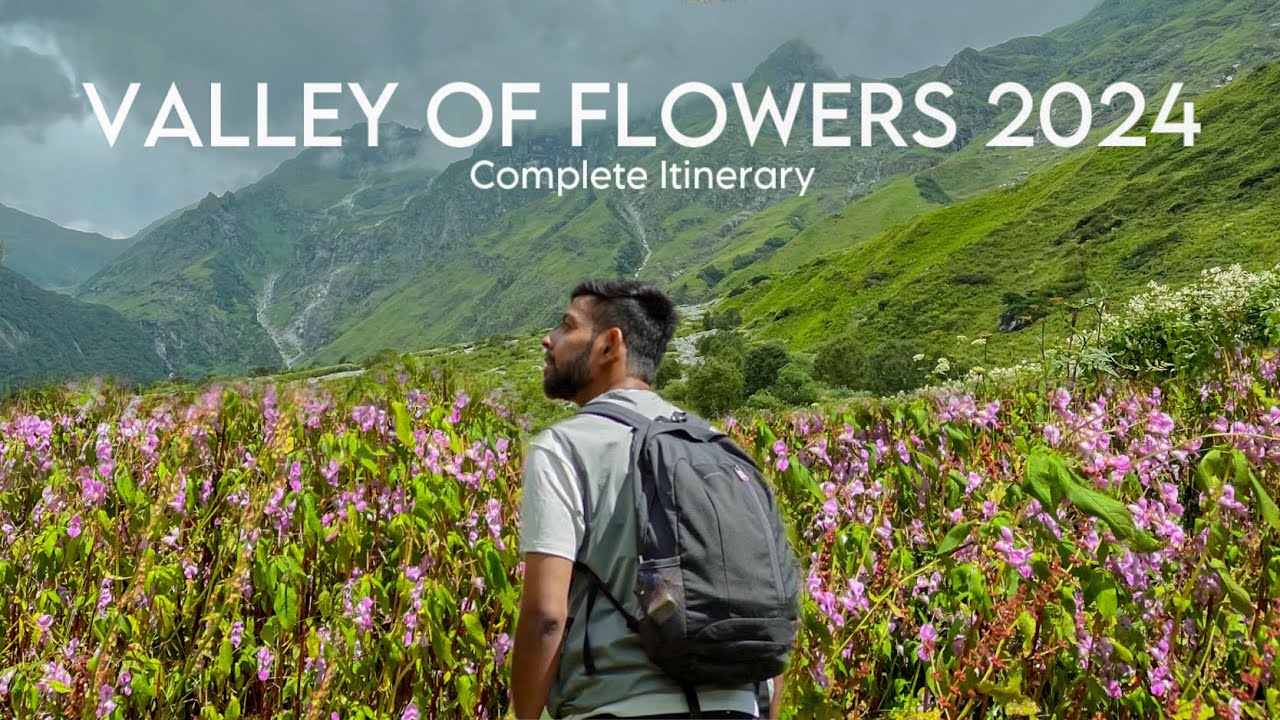 Valley of flowers 2024| How to reach?