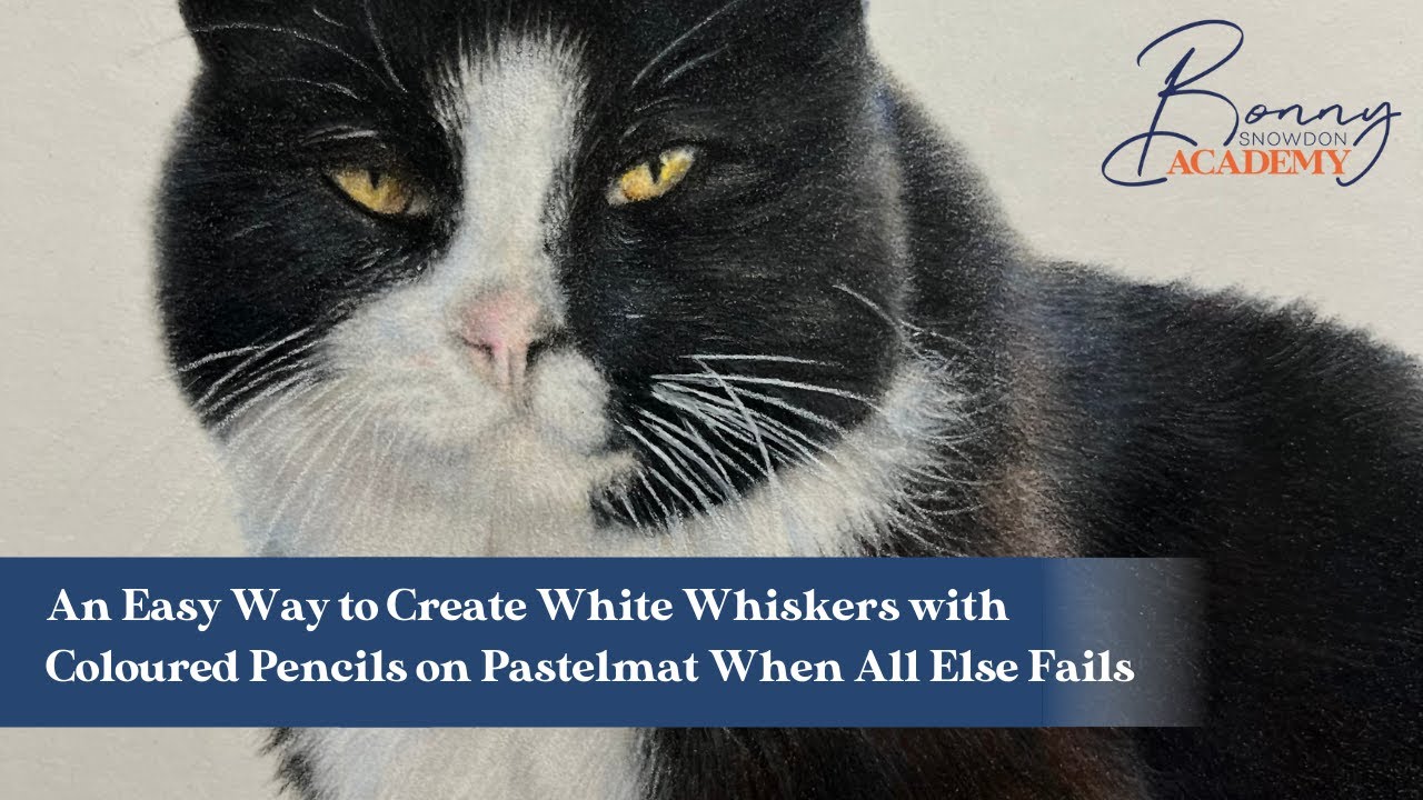 Creating White Whiskers on Pastelmat  | Coloured Pencil Techniques
