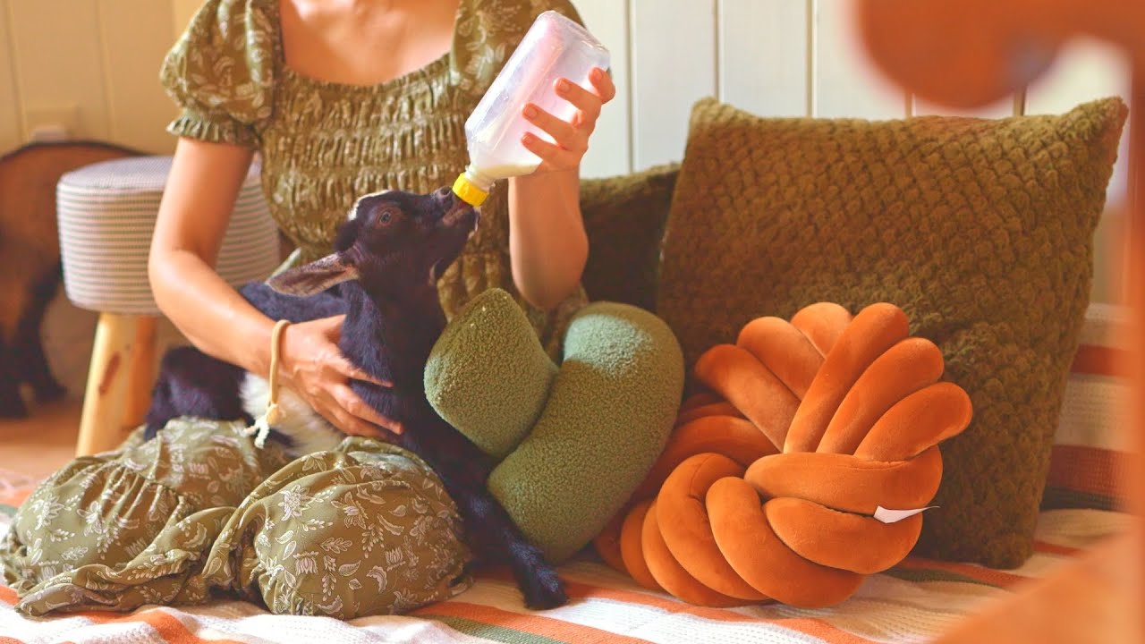 Хлеб, кофе и жизнь с козлятами🍂 Маффины с яблочной корицей
